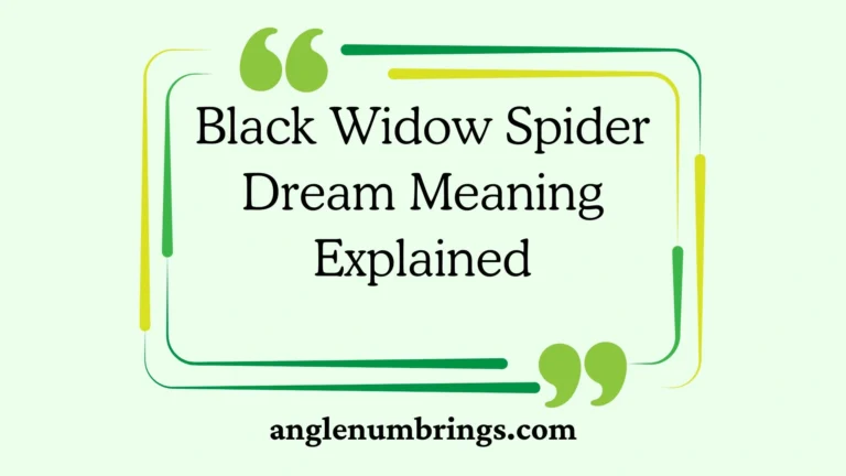 Black Widow Spider Dream Meaning Explained