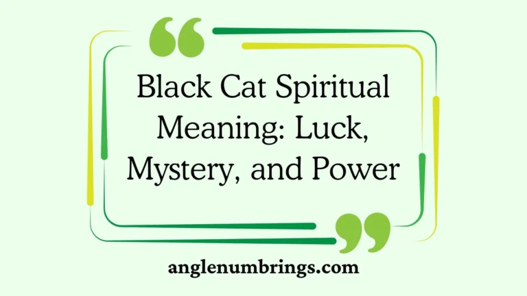 Black Cat Spiritual Meaning: Luck, Mystery, and Power