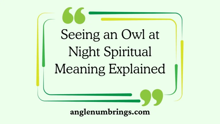 Seeing an Owl at Night Spiritual Meaning Explained