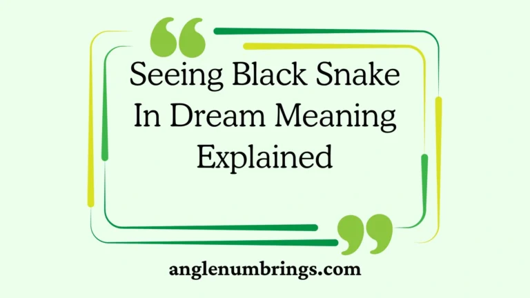 Seeing Black Snake In Dream Meaning Explained