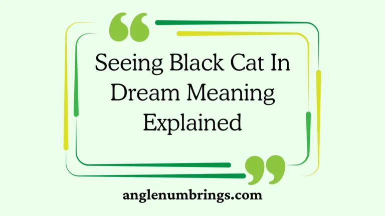 Seeing Black Cat In Dream Meaning Explained