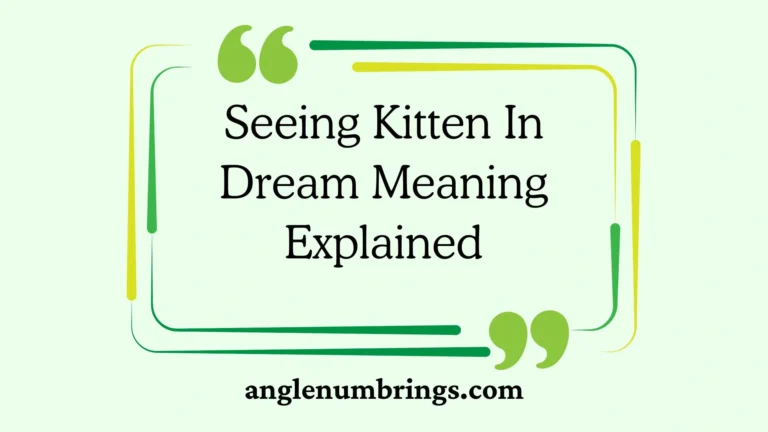 Seeing Kitten In Dream Meaning Explained