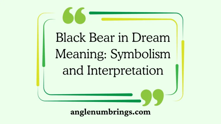Black Bear in Dream Meaning: Symbolism and Interpretation