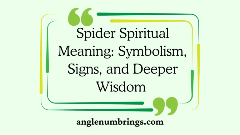 Spider Spiritual Meaning: Symbolism, Signs, and Deeper Wisdom 